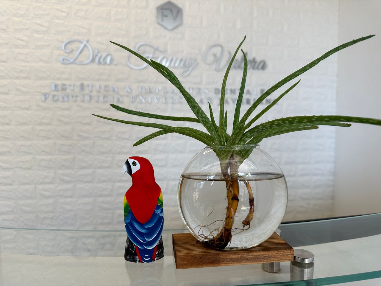 Fanny Valera Velásquez-59