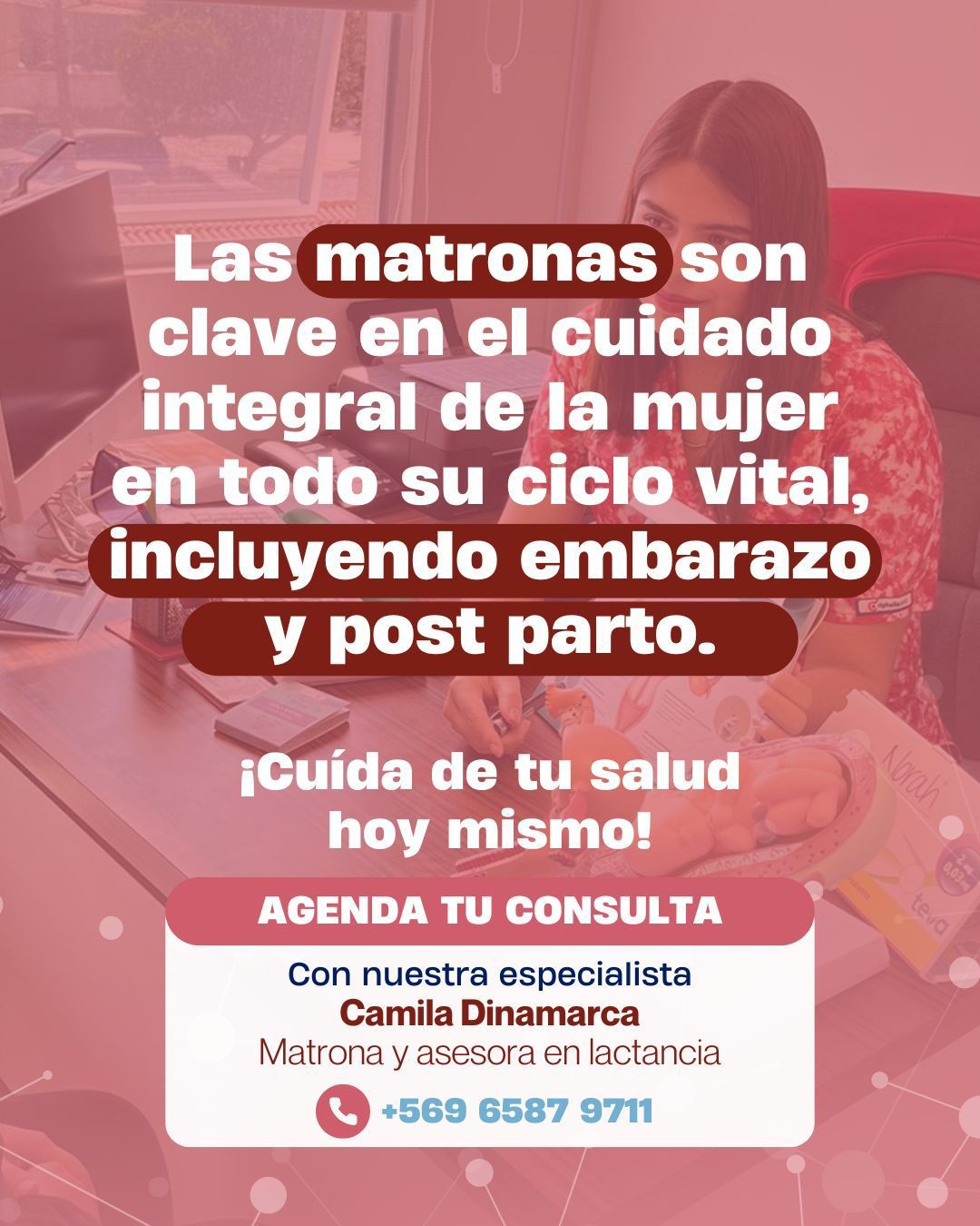 Camila Dinamarca Henríquez-13