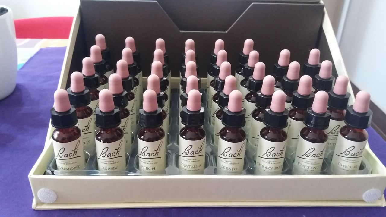 Patricia Collio Cornejo-0