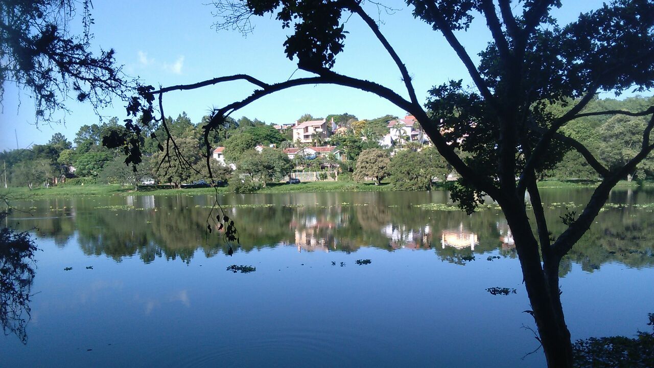 Cleonilde  Guariento -2