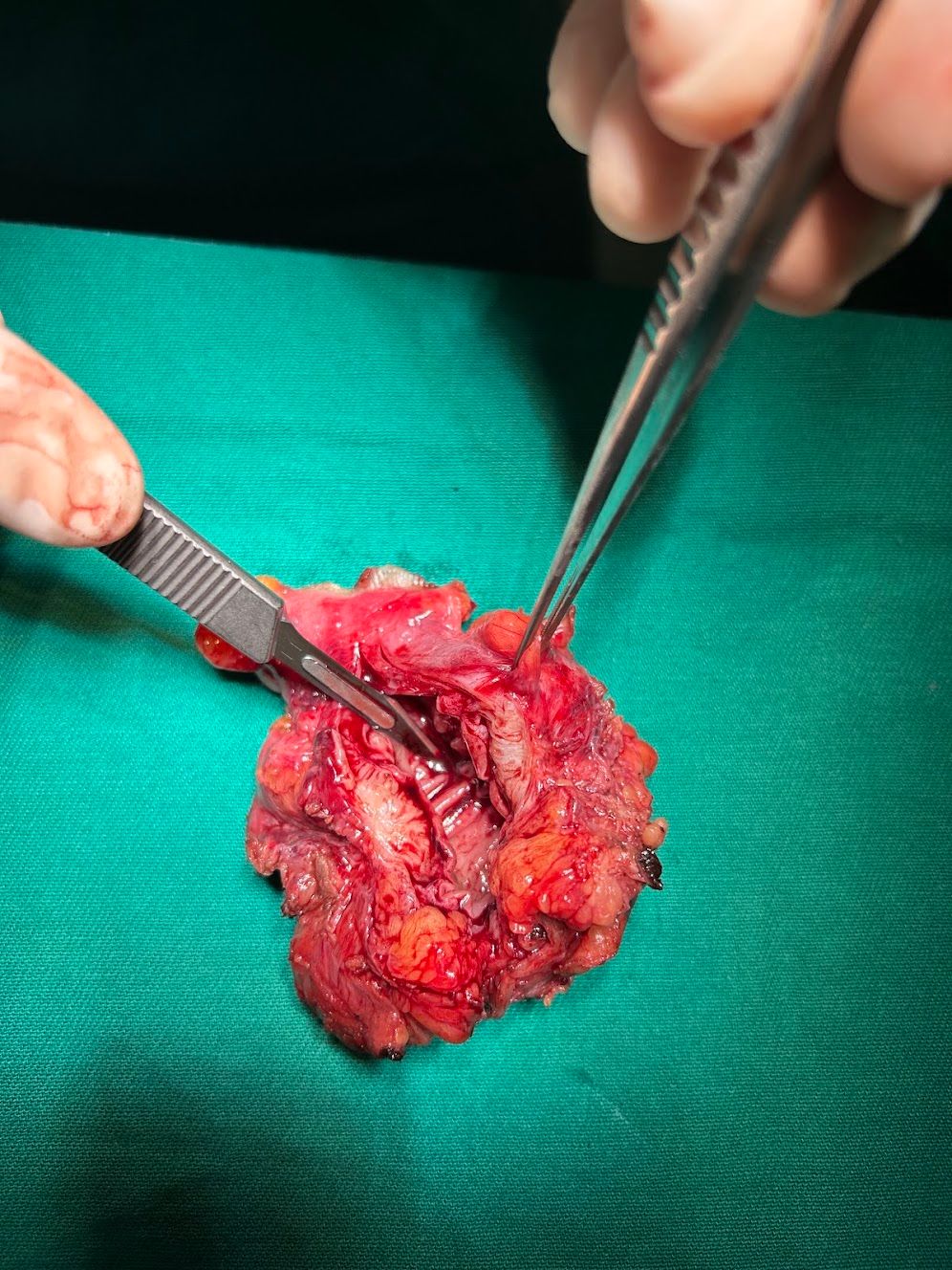 Adalberto Cesario Pereira Junior-47