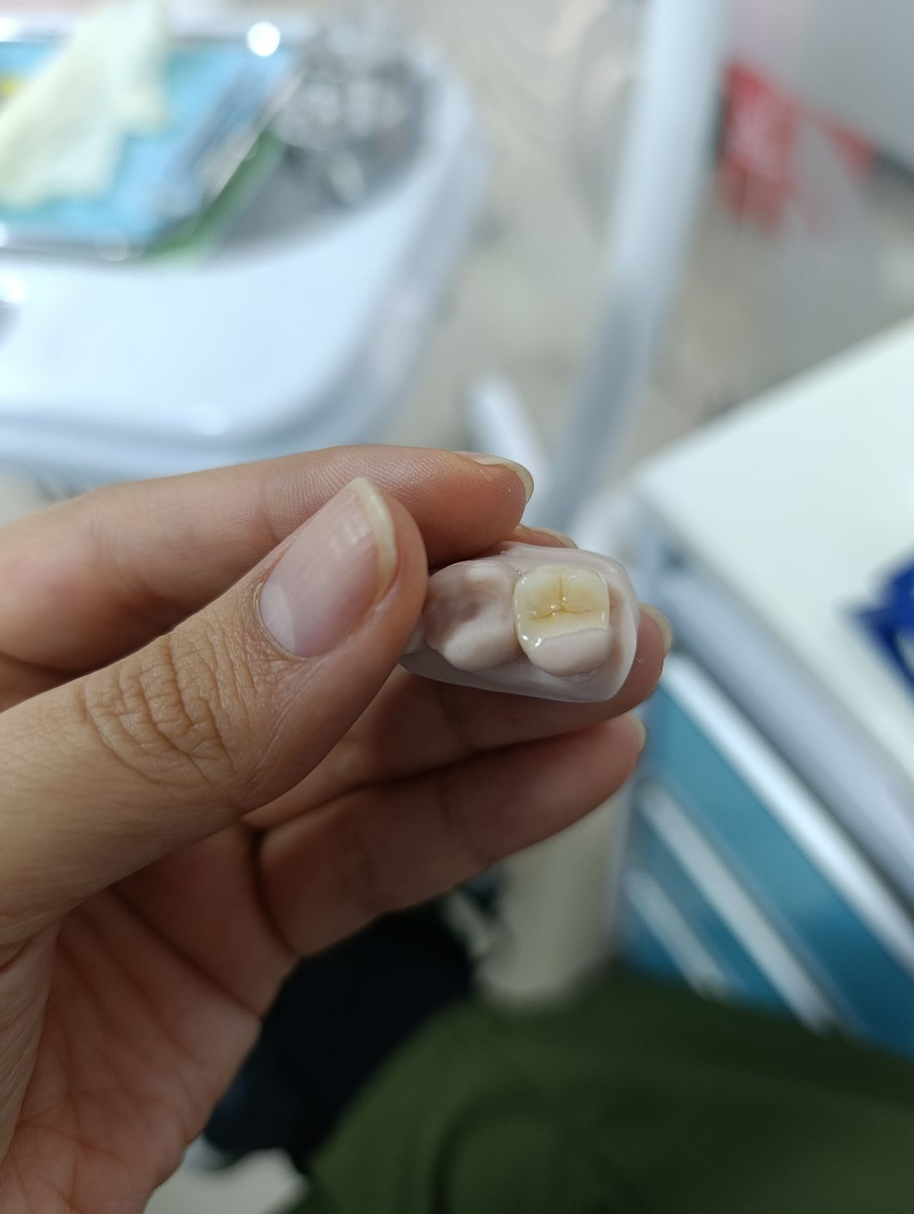 Alexandra García-15