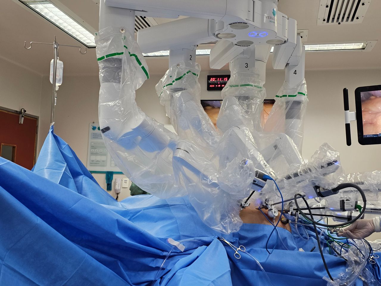 Fabio Thadeu Ferreira-2