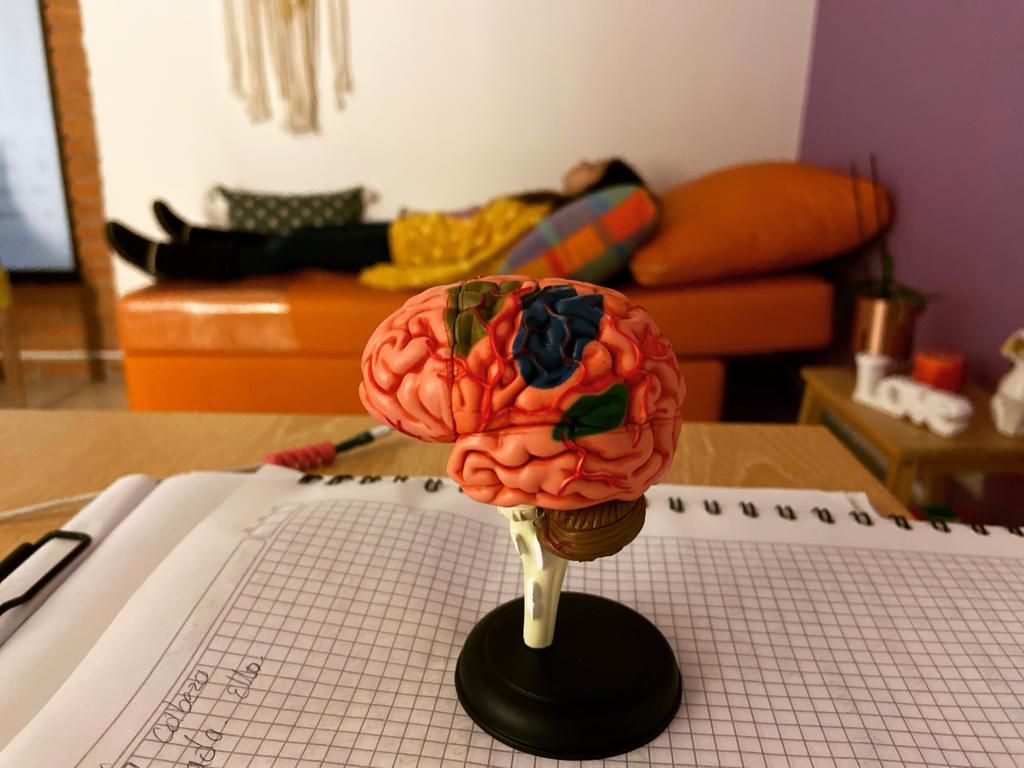 Eliana Cristina Serrano Pinto-37