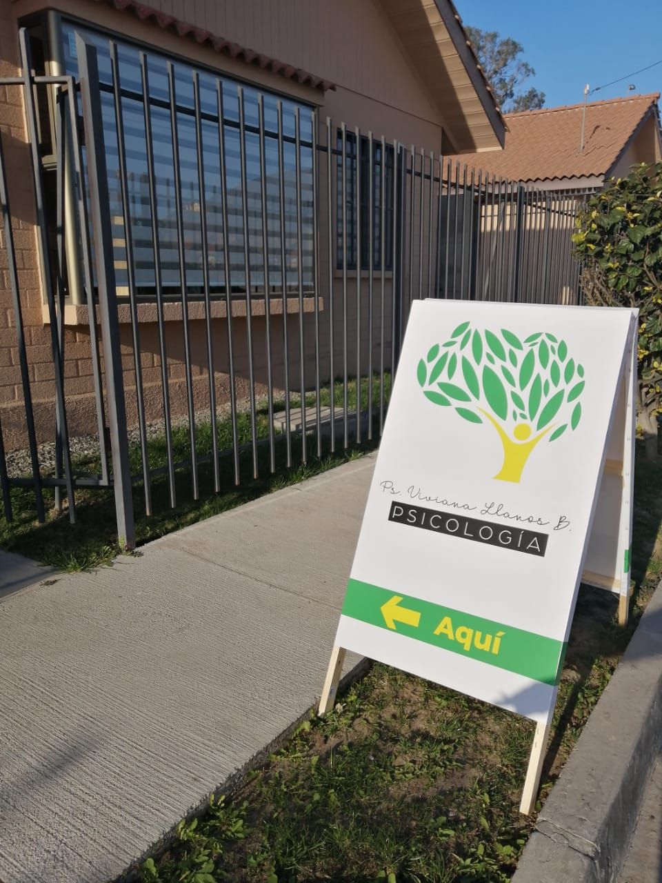 Viviana Cecilia Llanos Briceño-3