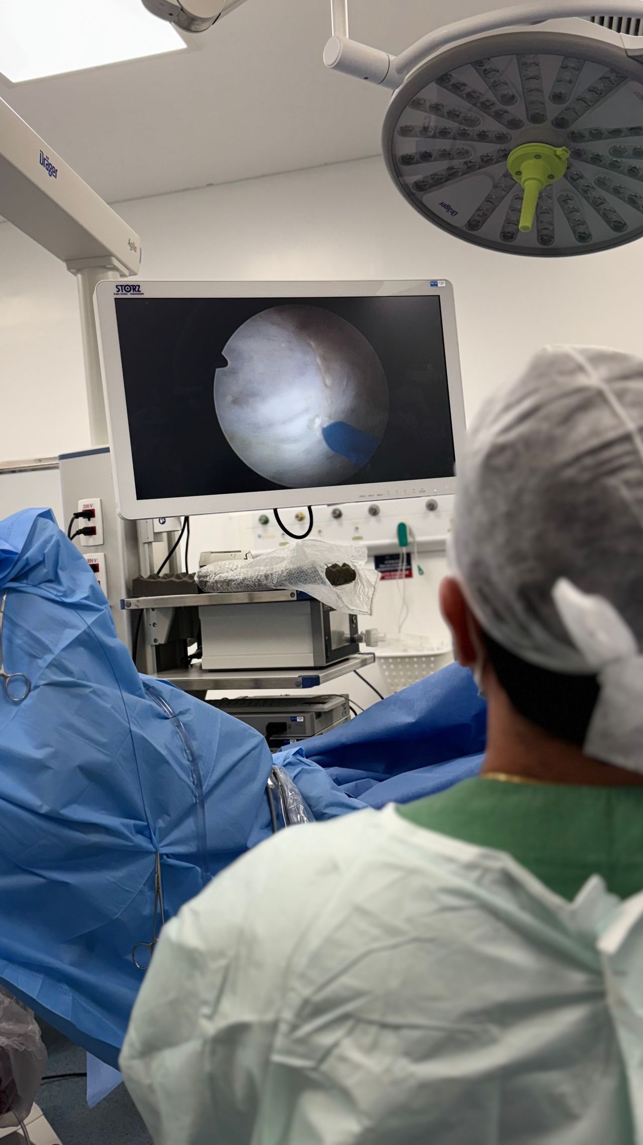 Felipe Amoedo Luedy-11