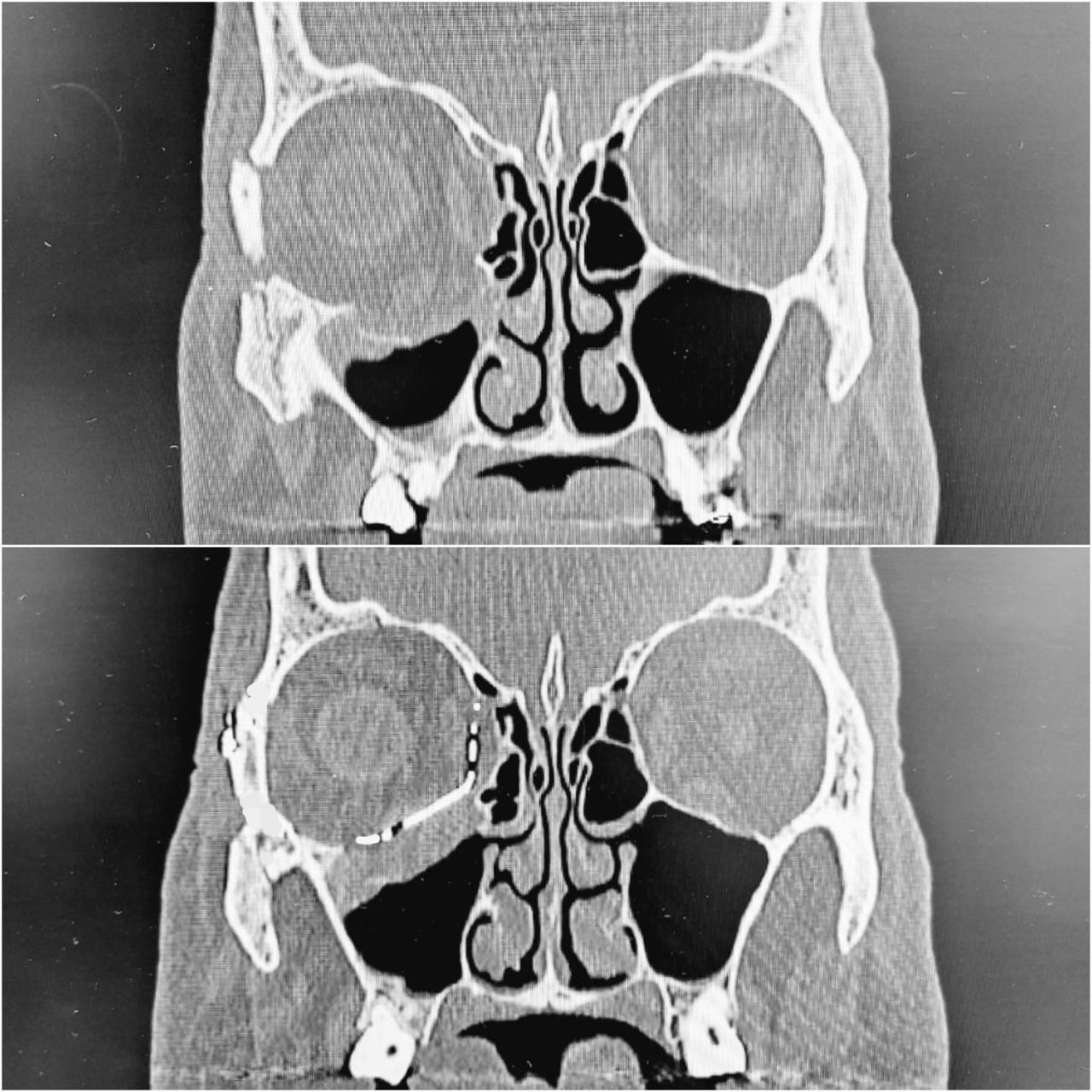 Paola Andrea Amato Cuartas-9