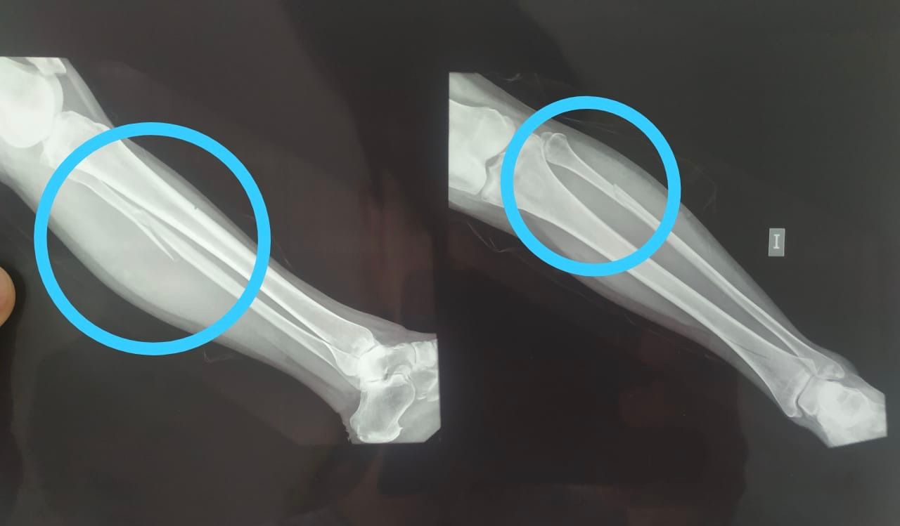 Luz Angela Murcia Camargo-41