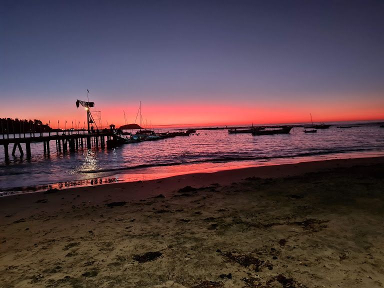 Romy Bravovisch Froimovich-8