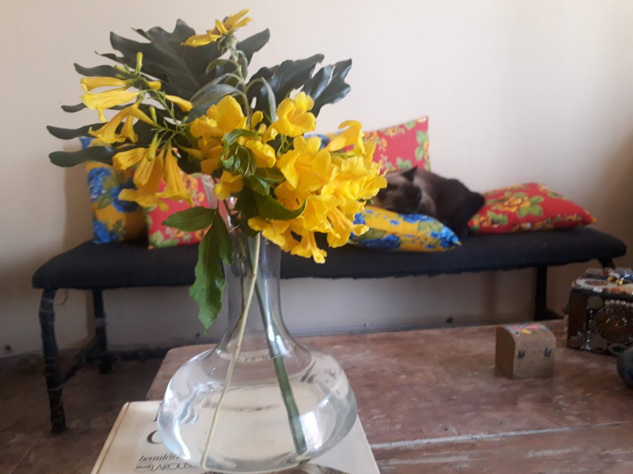 Victor Astete Contreras-11