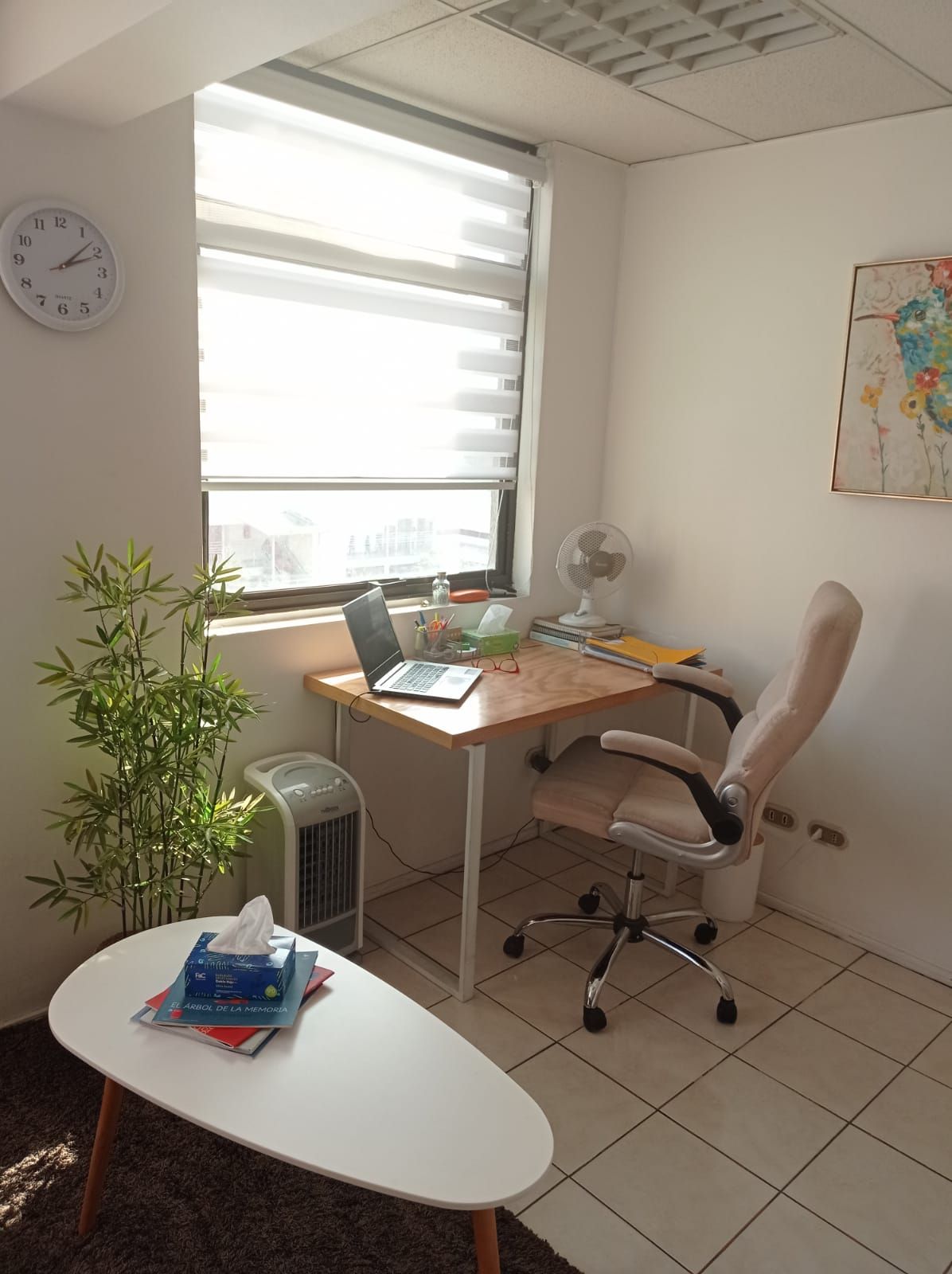 Marianela Serey V.-3