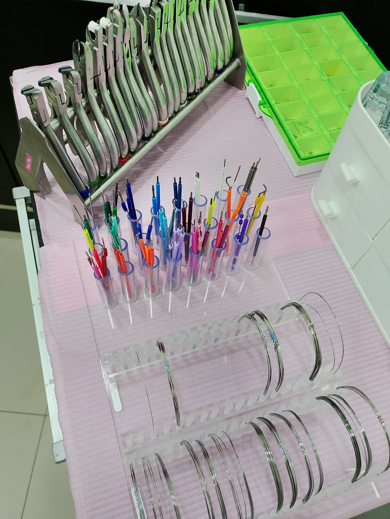 Paula Veridiana Uehbe Dias-19