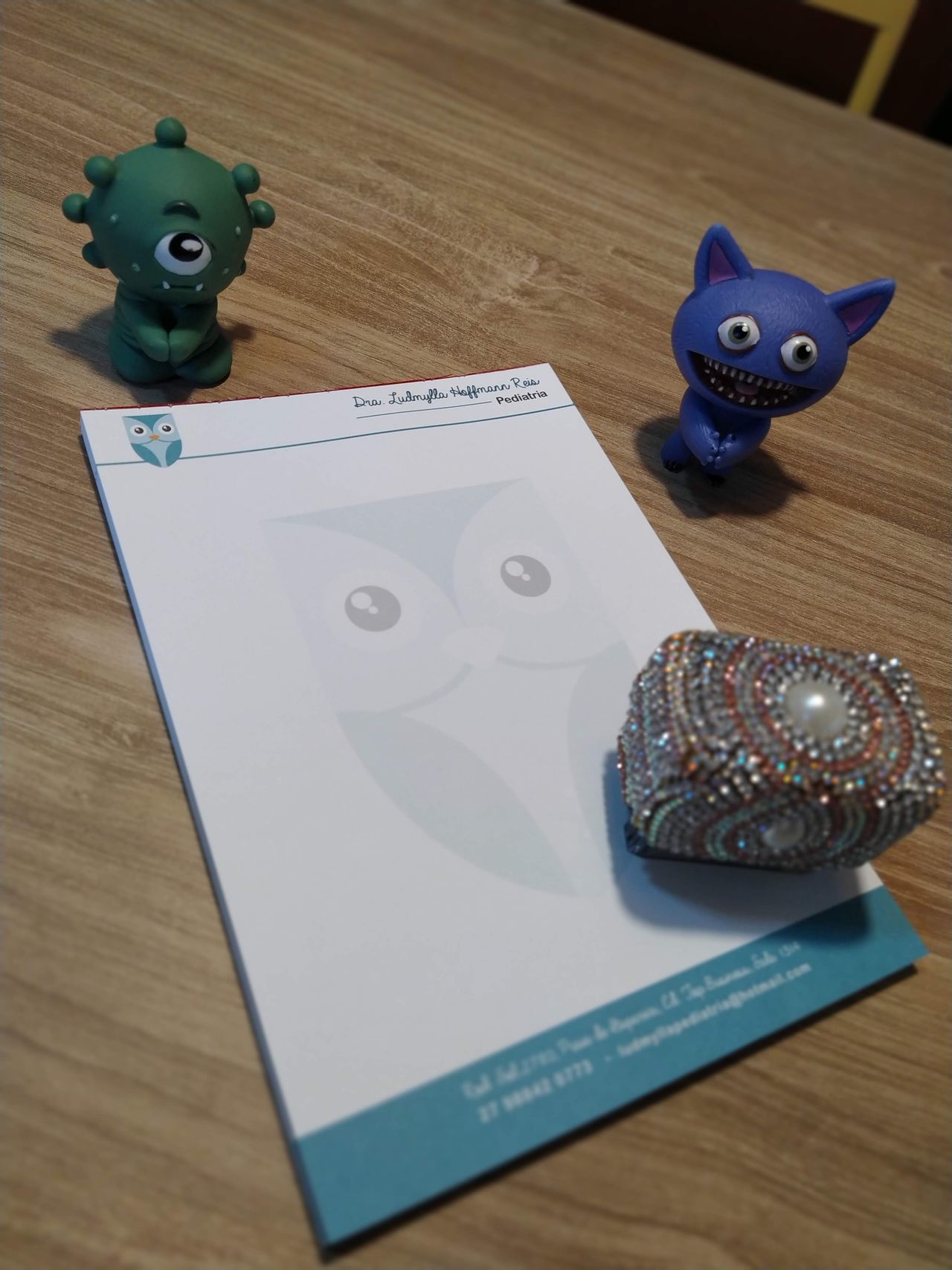 Dra.  Ludmylla  Reis-0