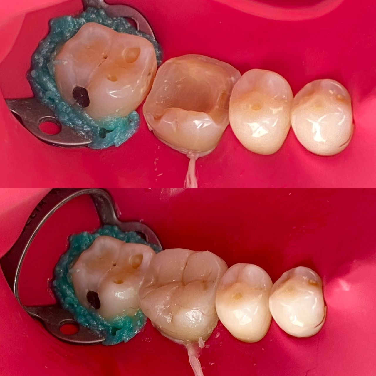 Montserrat Carbonell Palacios-4