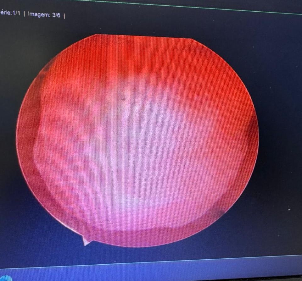 Maria Laura Nogueira Campos-0