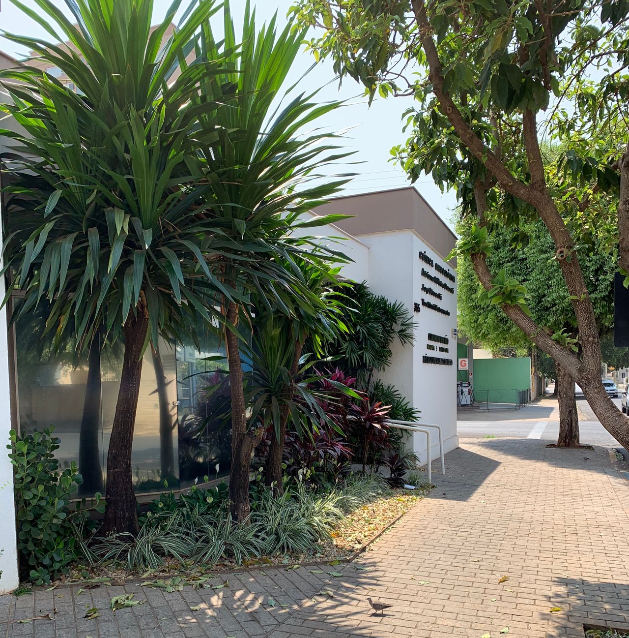 Márcio Koji Matsumoto-3