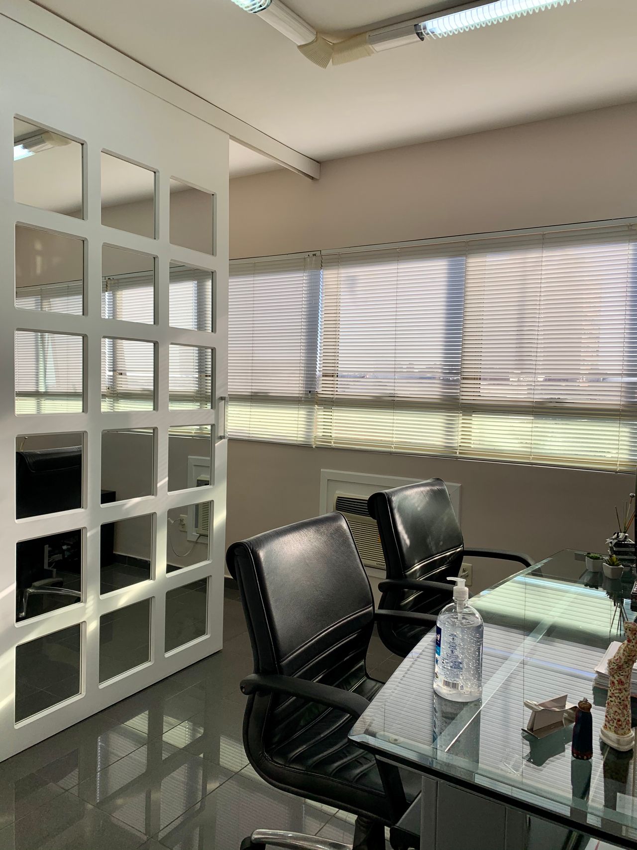 Silvia Regina Brito-1