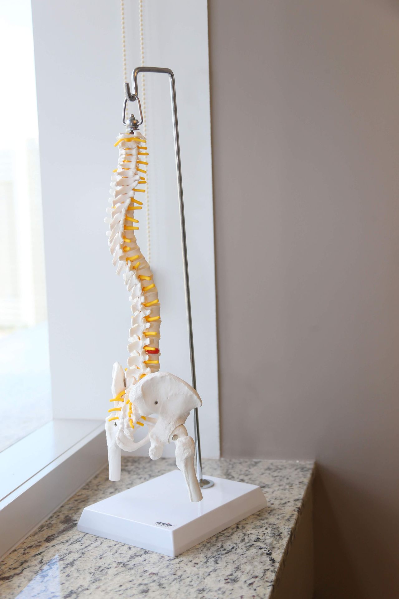 Leonardo Rocha Carneiro García Zapata-11