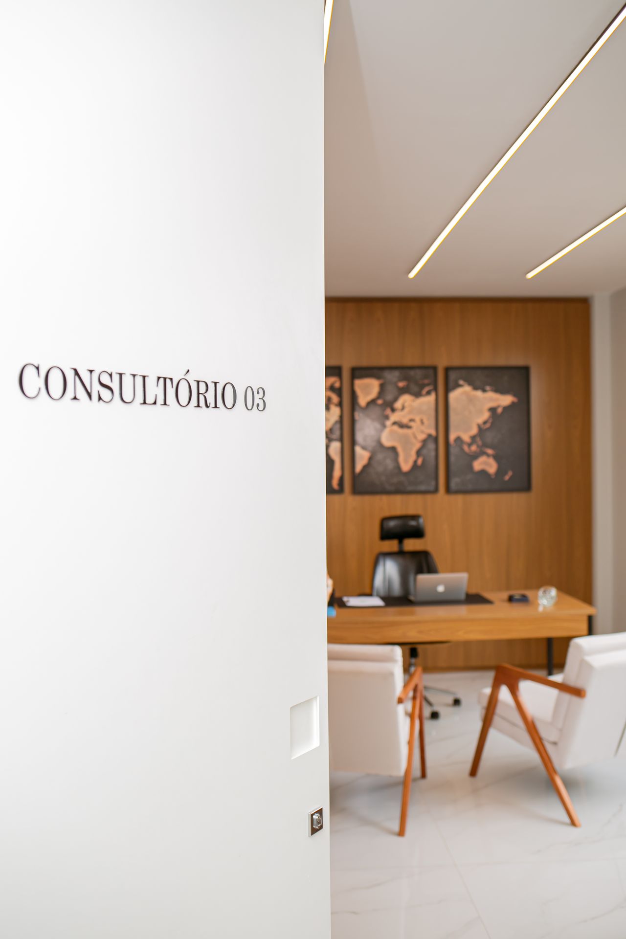 André Gismonti Garcia-4