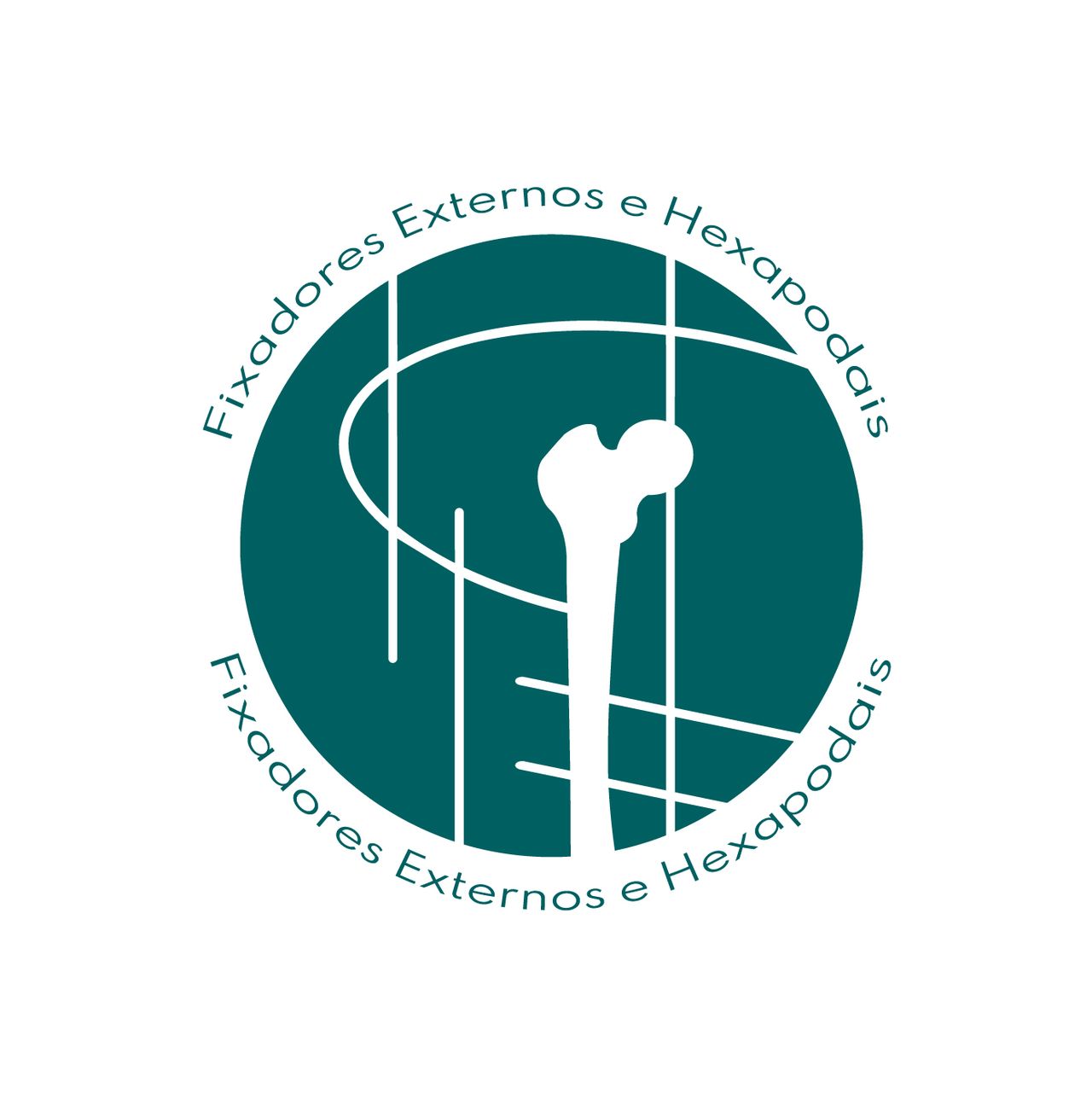 Carlos Eduardo Moraes Matos-0