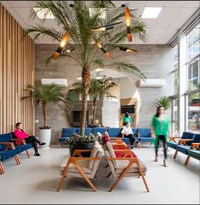 Jamile Cristine Ferreira-1