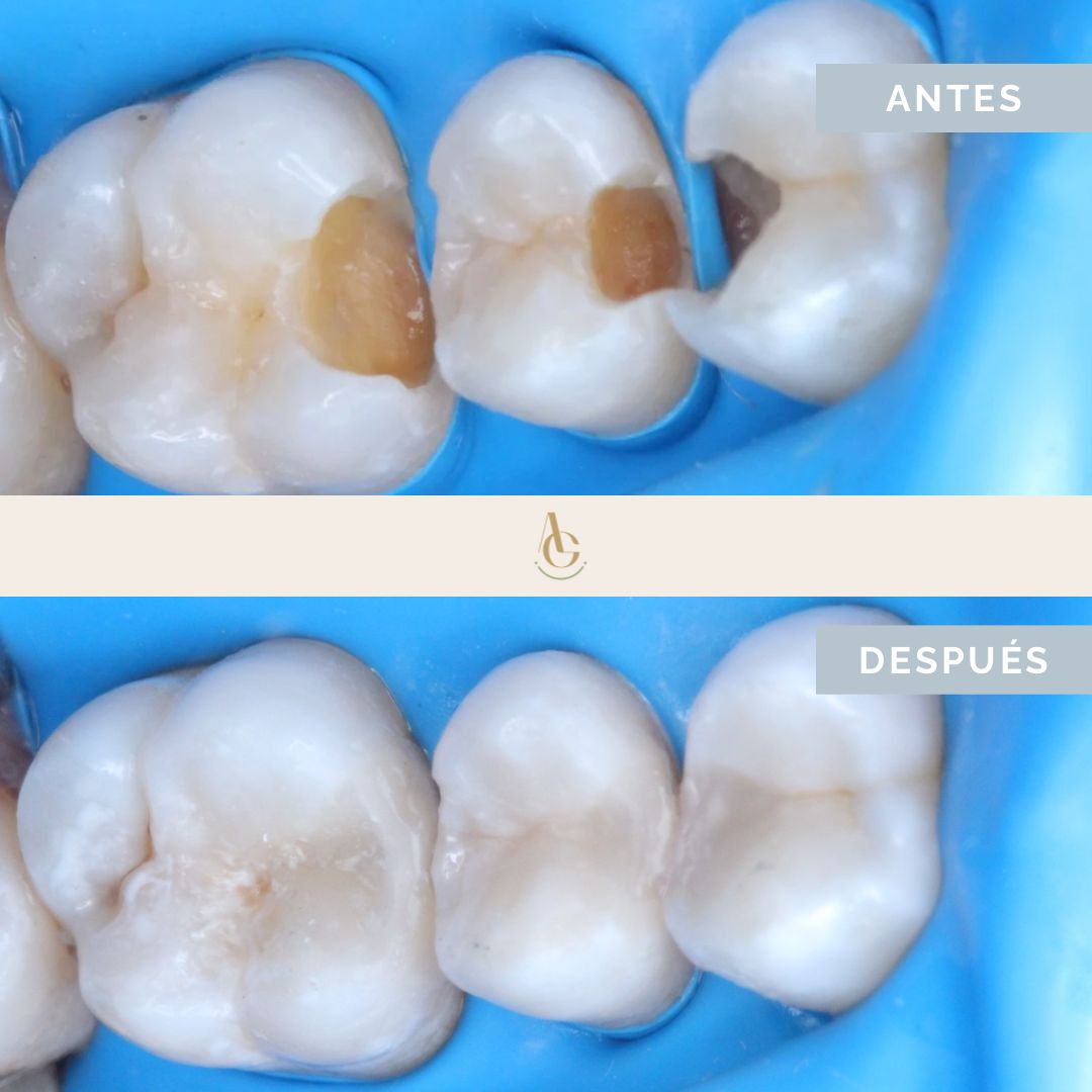 Ángela María Guevara Arredondo-17