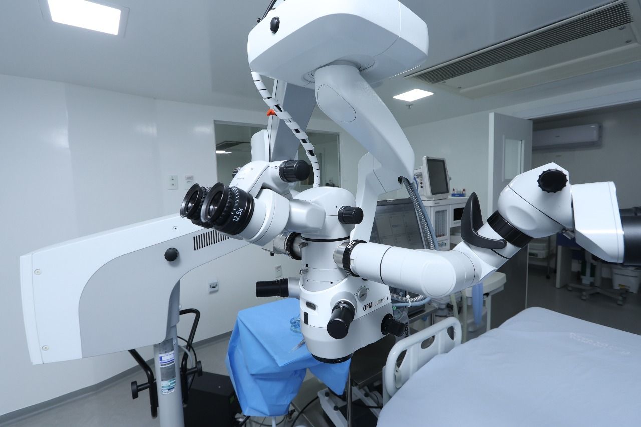 Natasha Fernanda Xavier De Carvalho-11