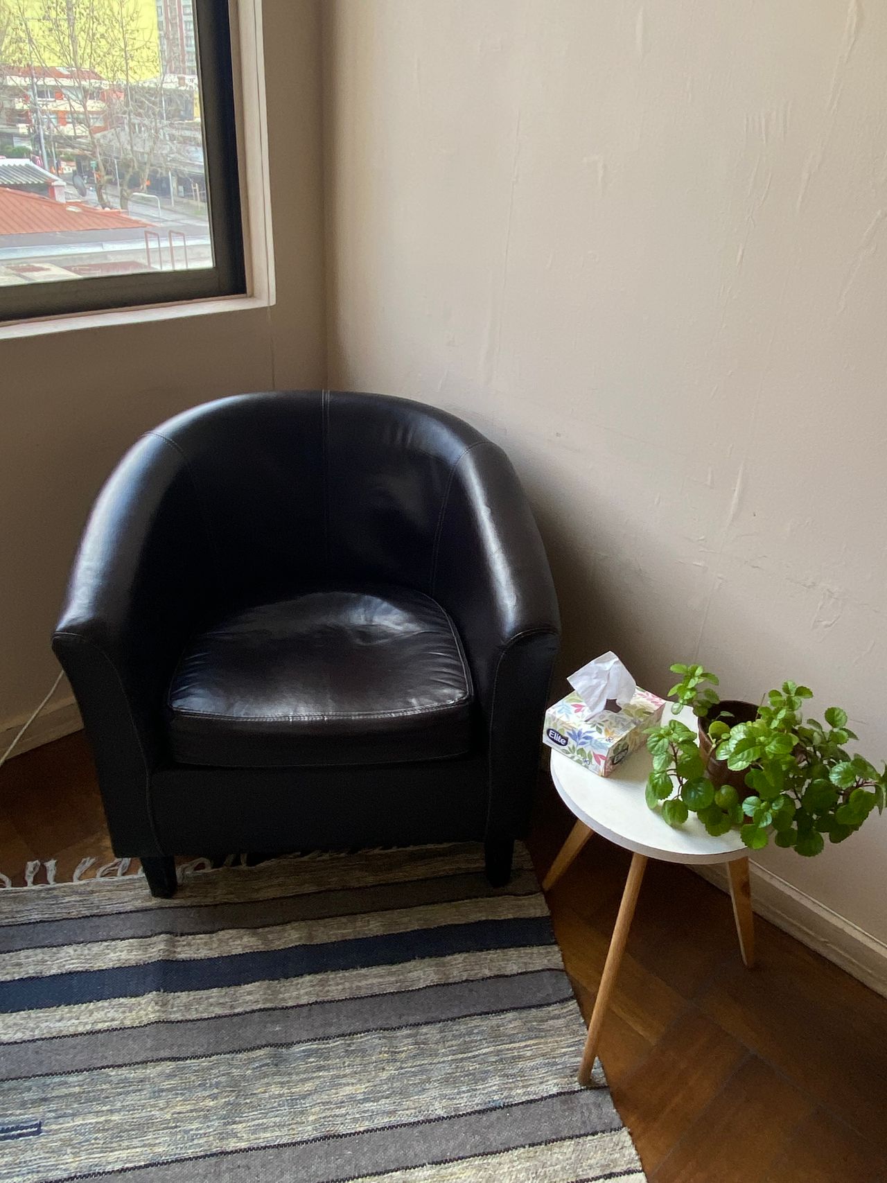 Javiera Cifuentes Meza-1