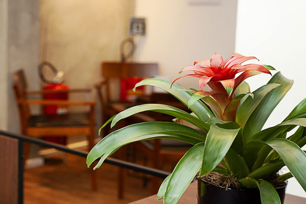 Michel Arantes Barros-5