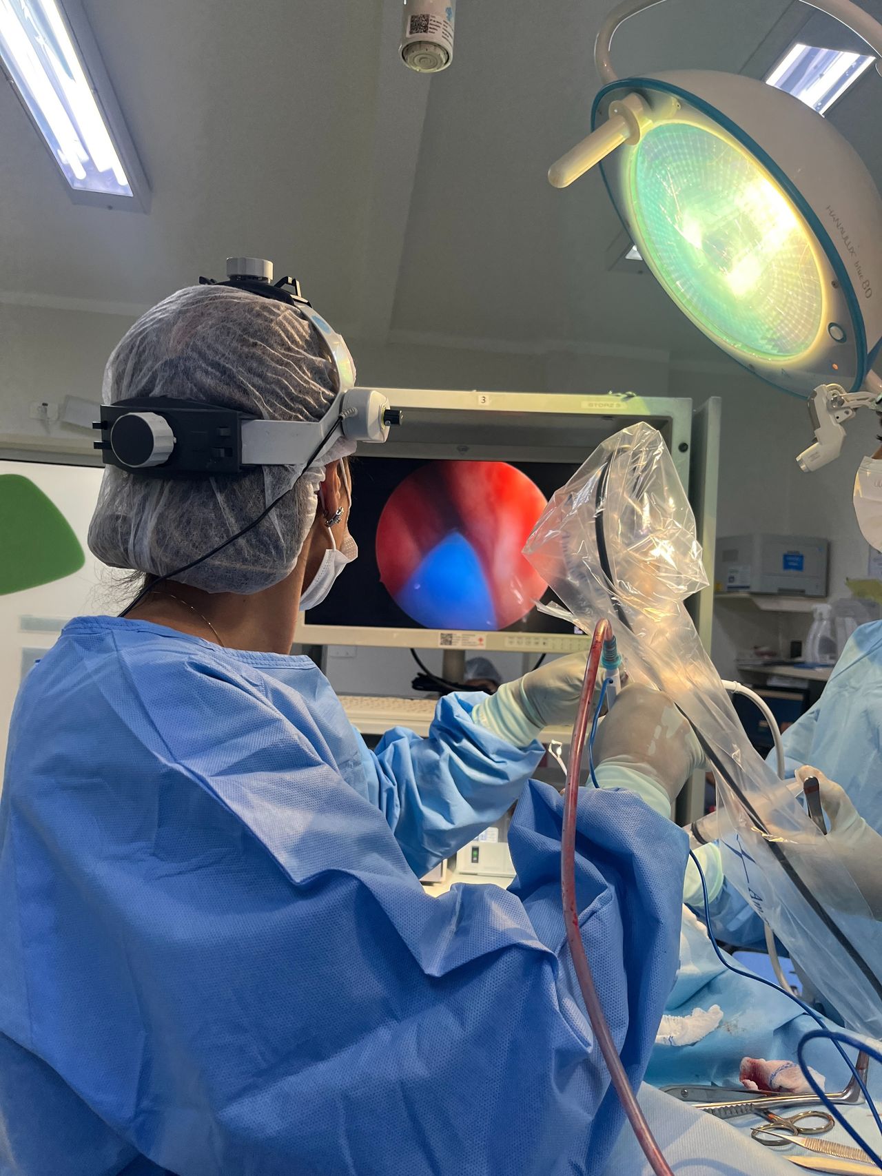 Alessandra Stanquini Lopes-6