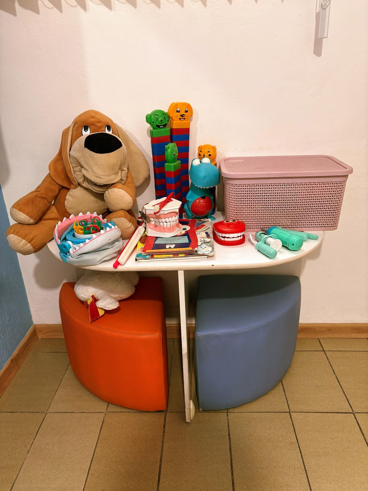 Camila Braga Navarro-4