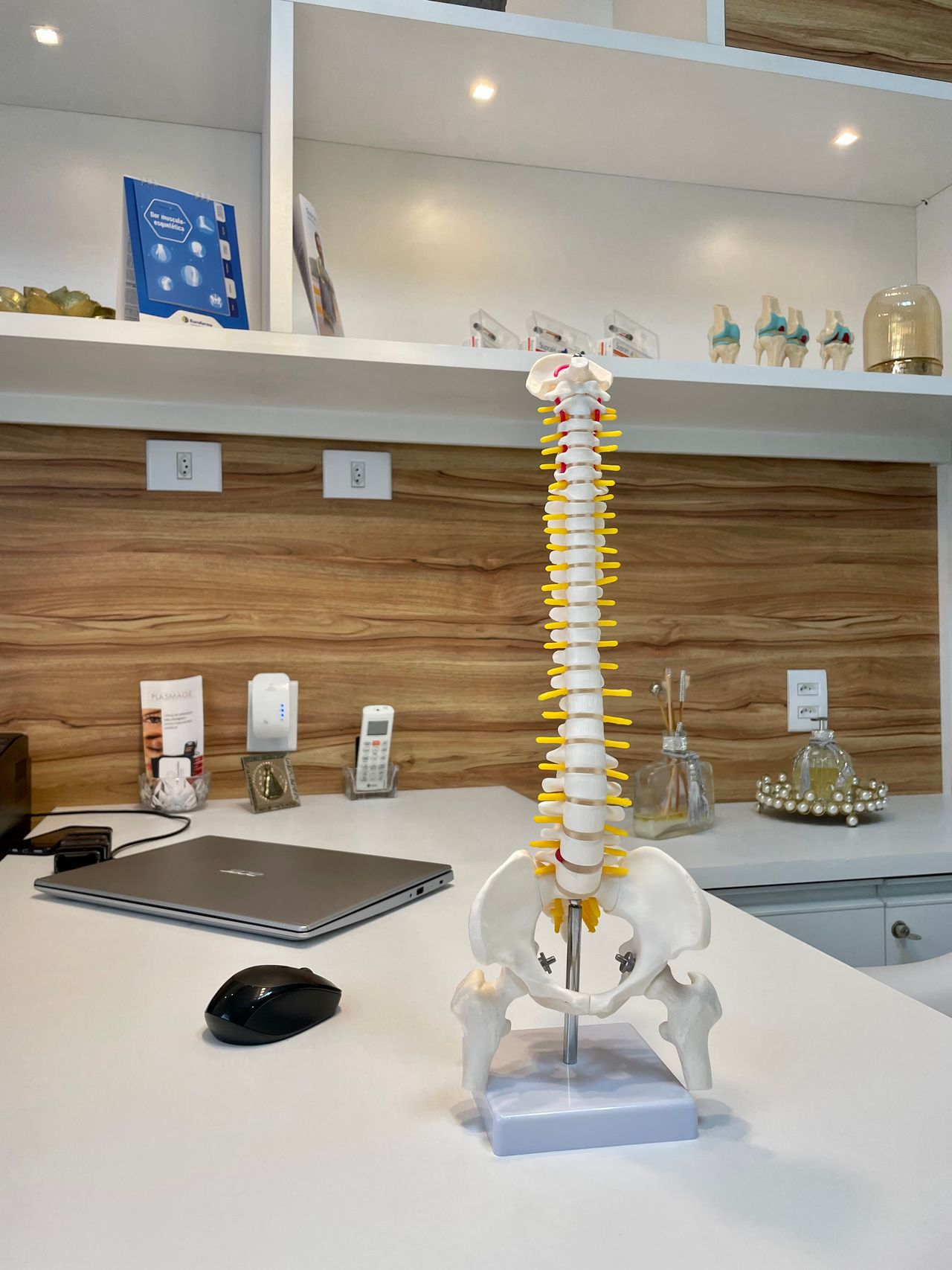 Jônatas Laurindo Giacomini-9