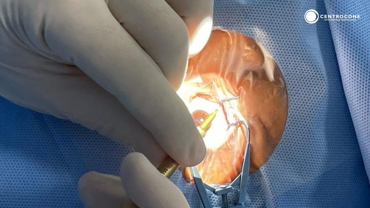 Patrick Figueiredo-13