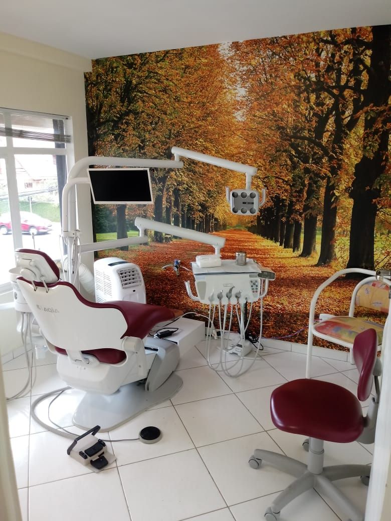 Andréa Abreu Corrêa-2