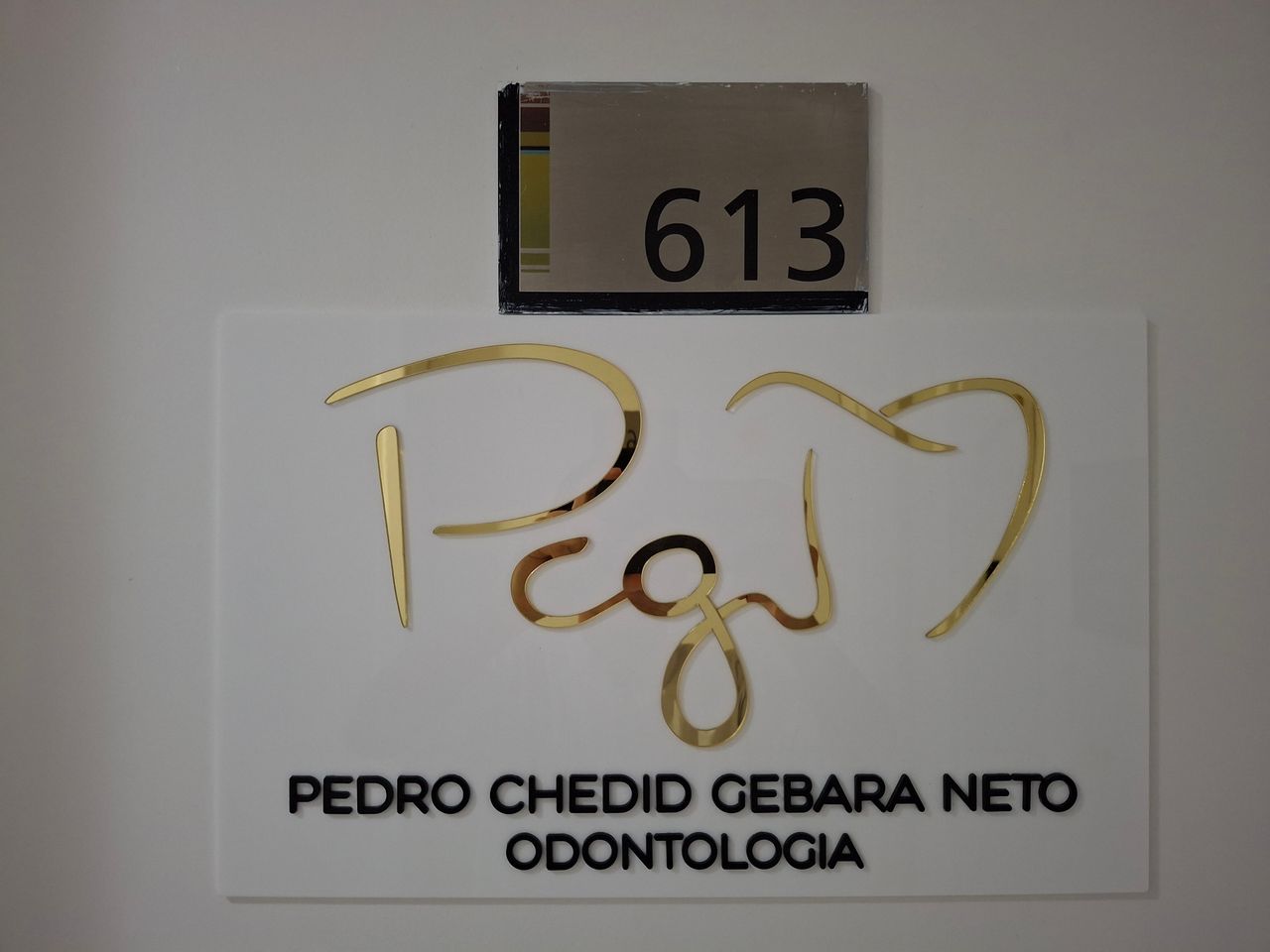 Pedro Chedid Gebara Neto-0