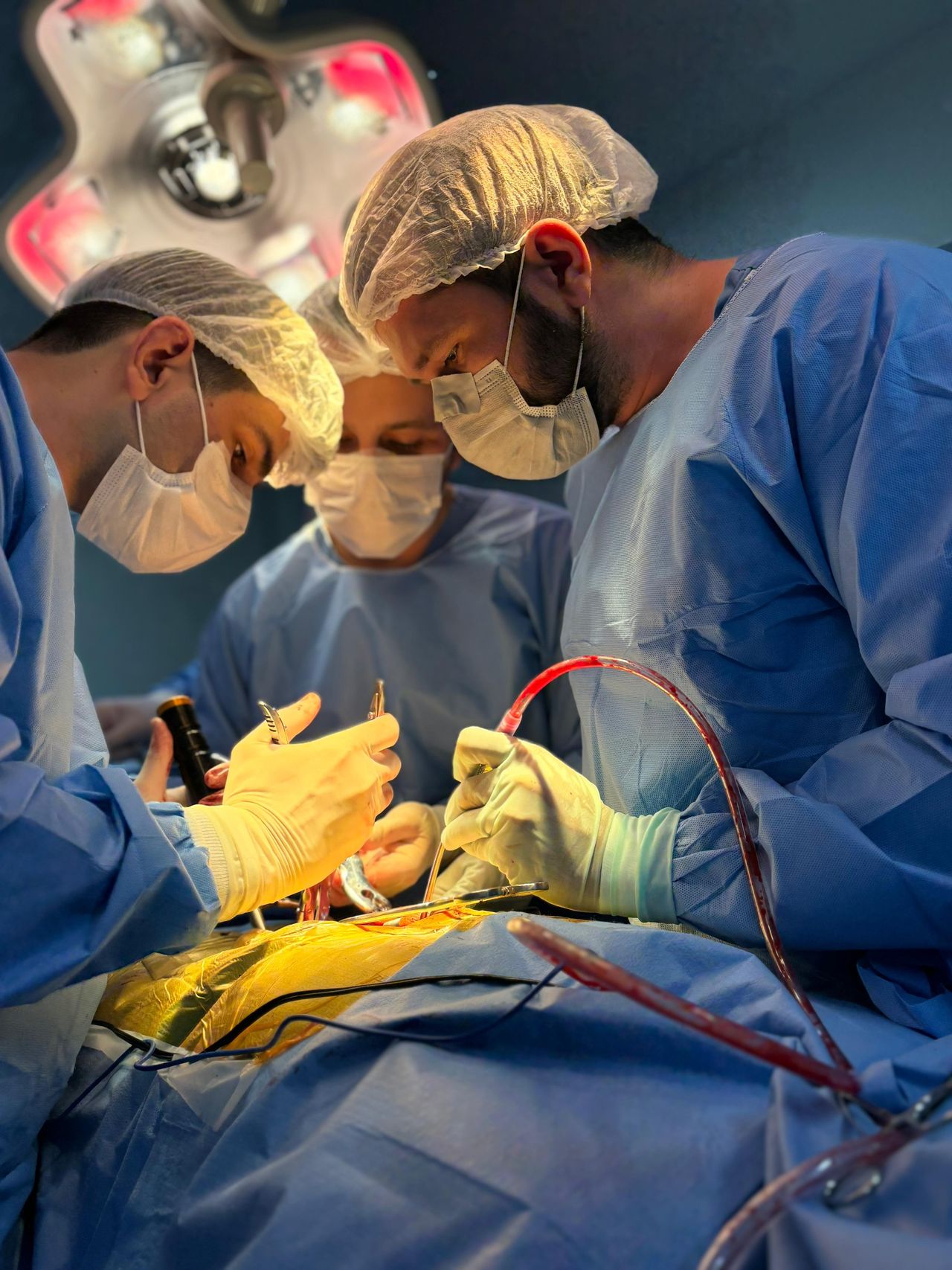 Rodrigo Sanches Coelho De Oliveira-1