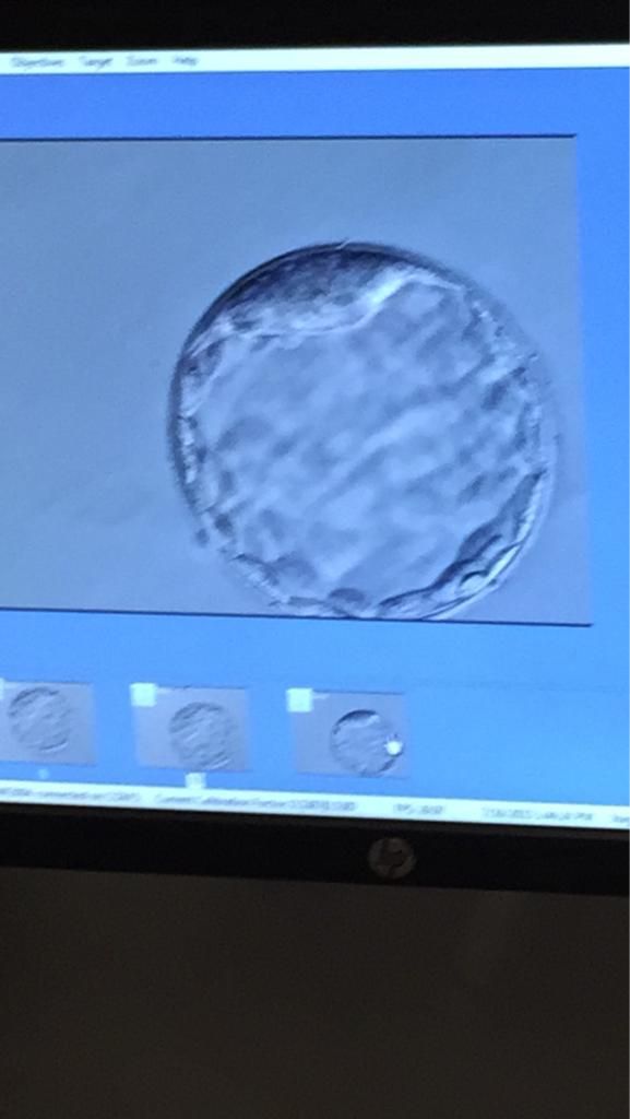 Liane Silva Rafael Rogério-11