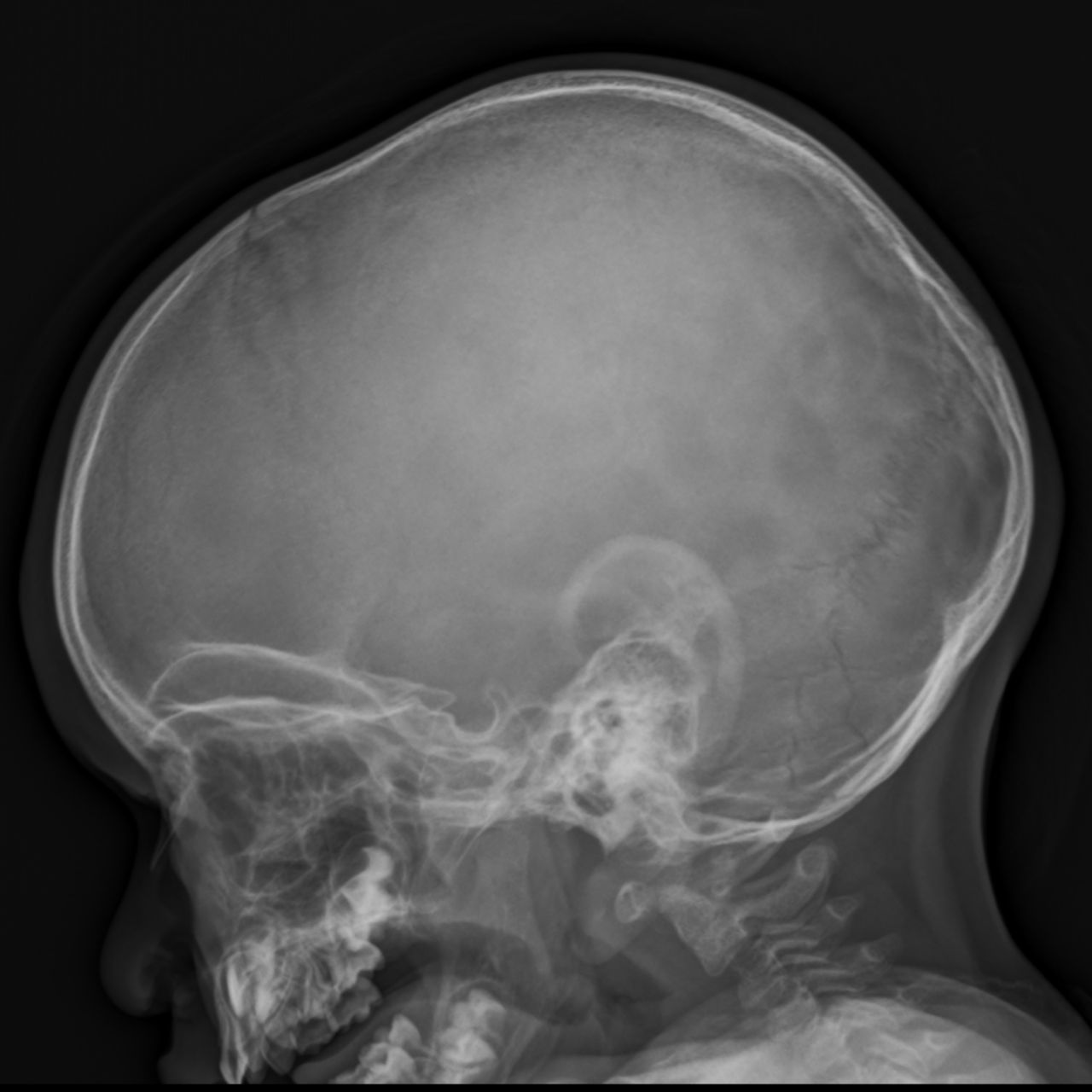 David Tafur Muñoz-1151