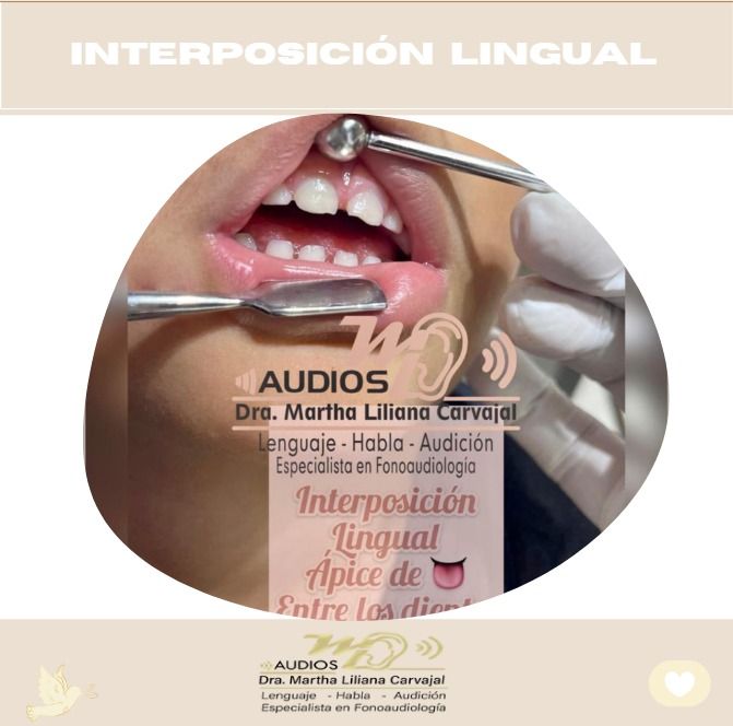 Martha Liliana Carvajal Peña-19