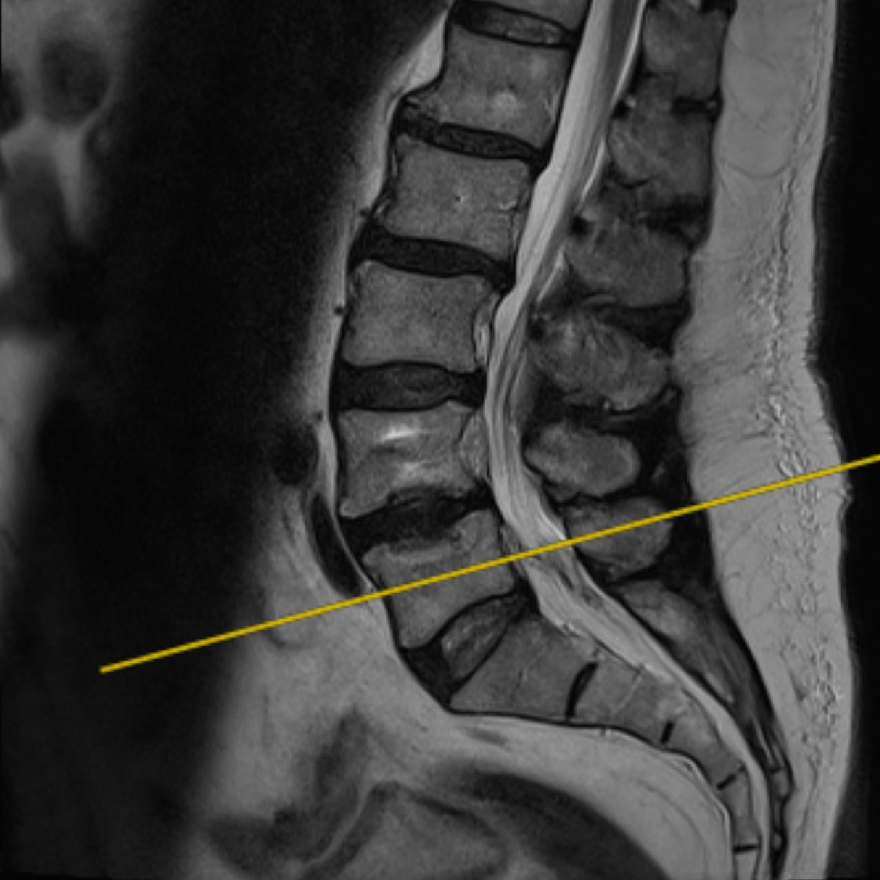 David Tafur Muñoz-1483
