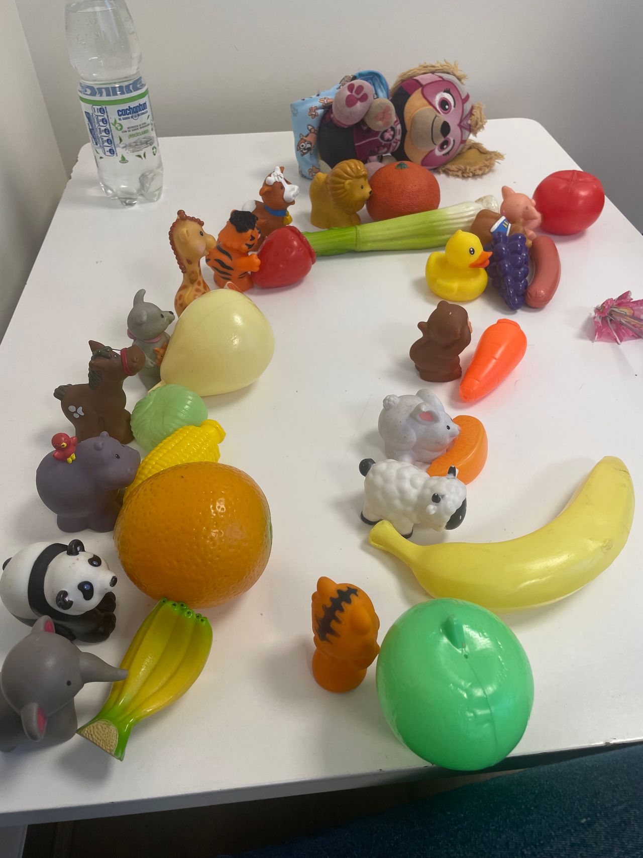 Paola Andrea Zamorano Salinas-15