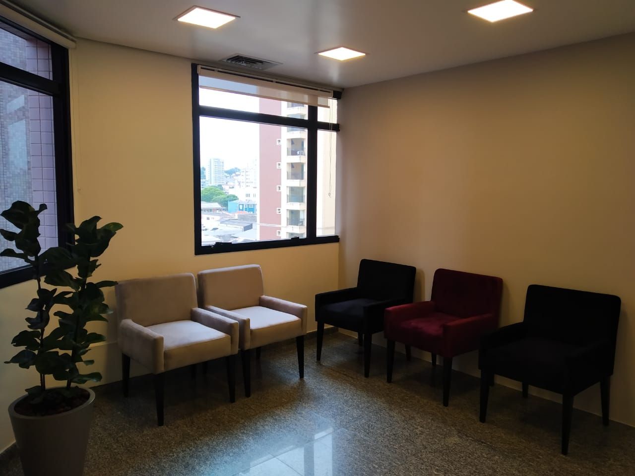 Luci Meire Korbage Do Fanno-4