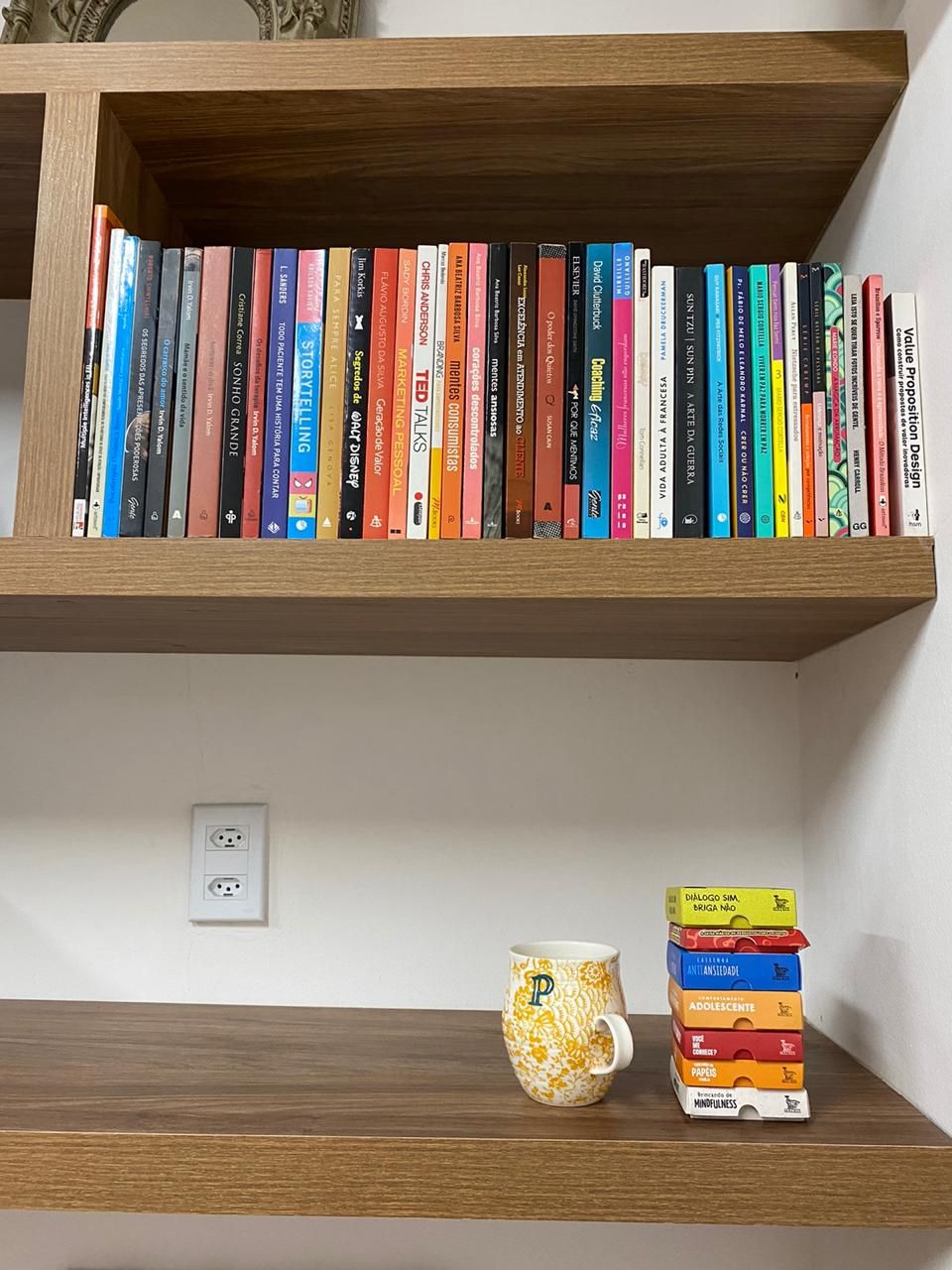 Ana Paula Adler Borges-21