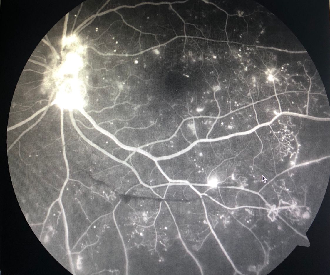 Andrea Tamine Hoyos Dumar-7