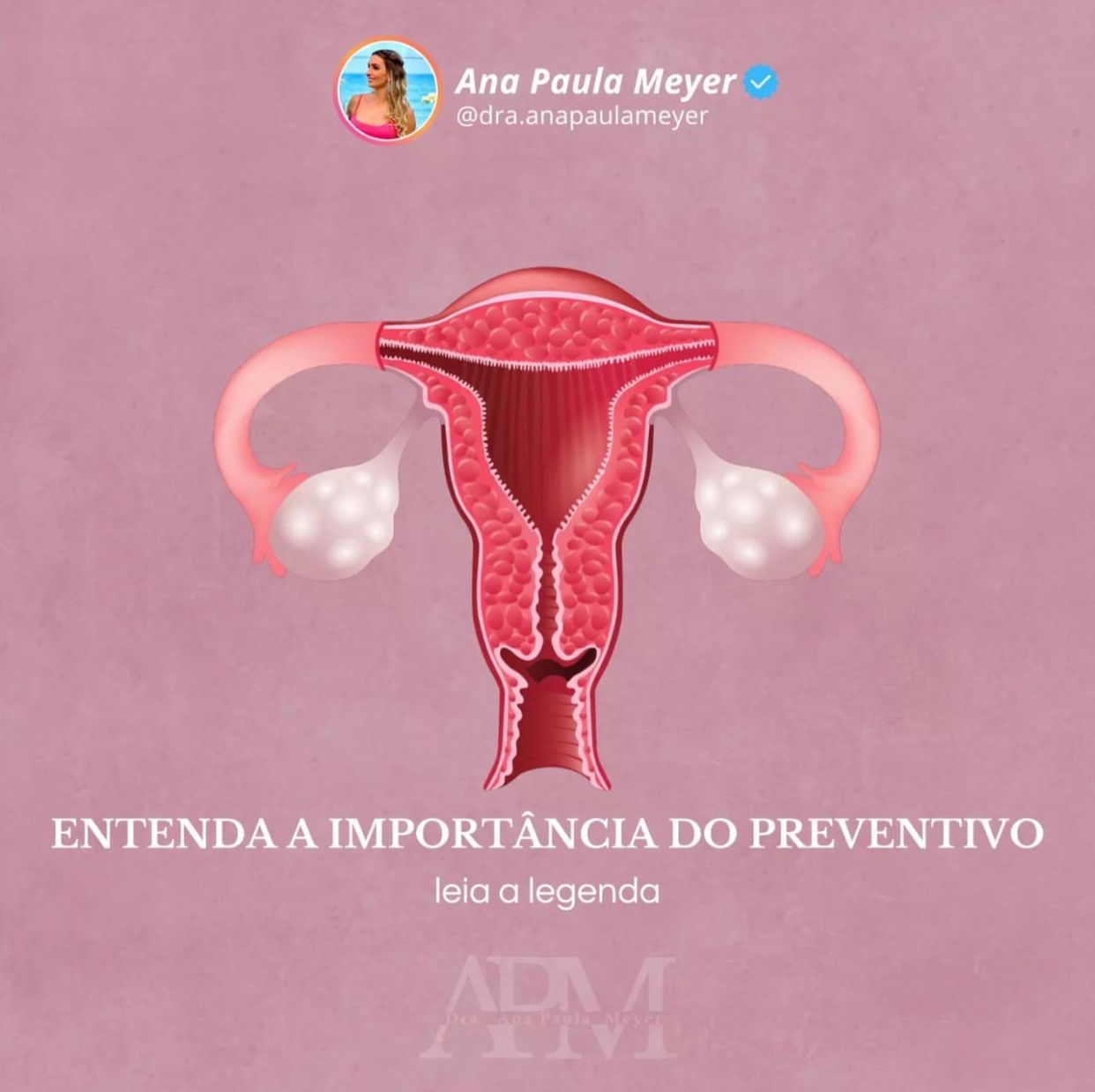 Ana Paula Fernandez Meyer-7