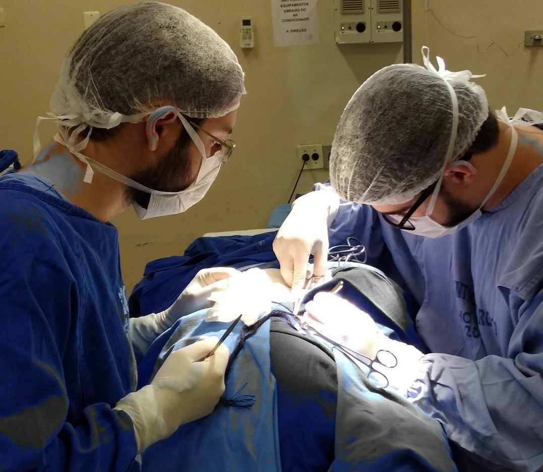 Guilherme Mendes Pimenta-1