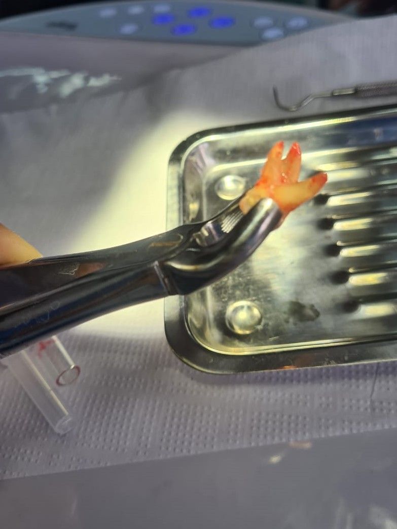 Paula López Lataste-31