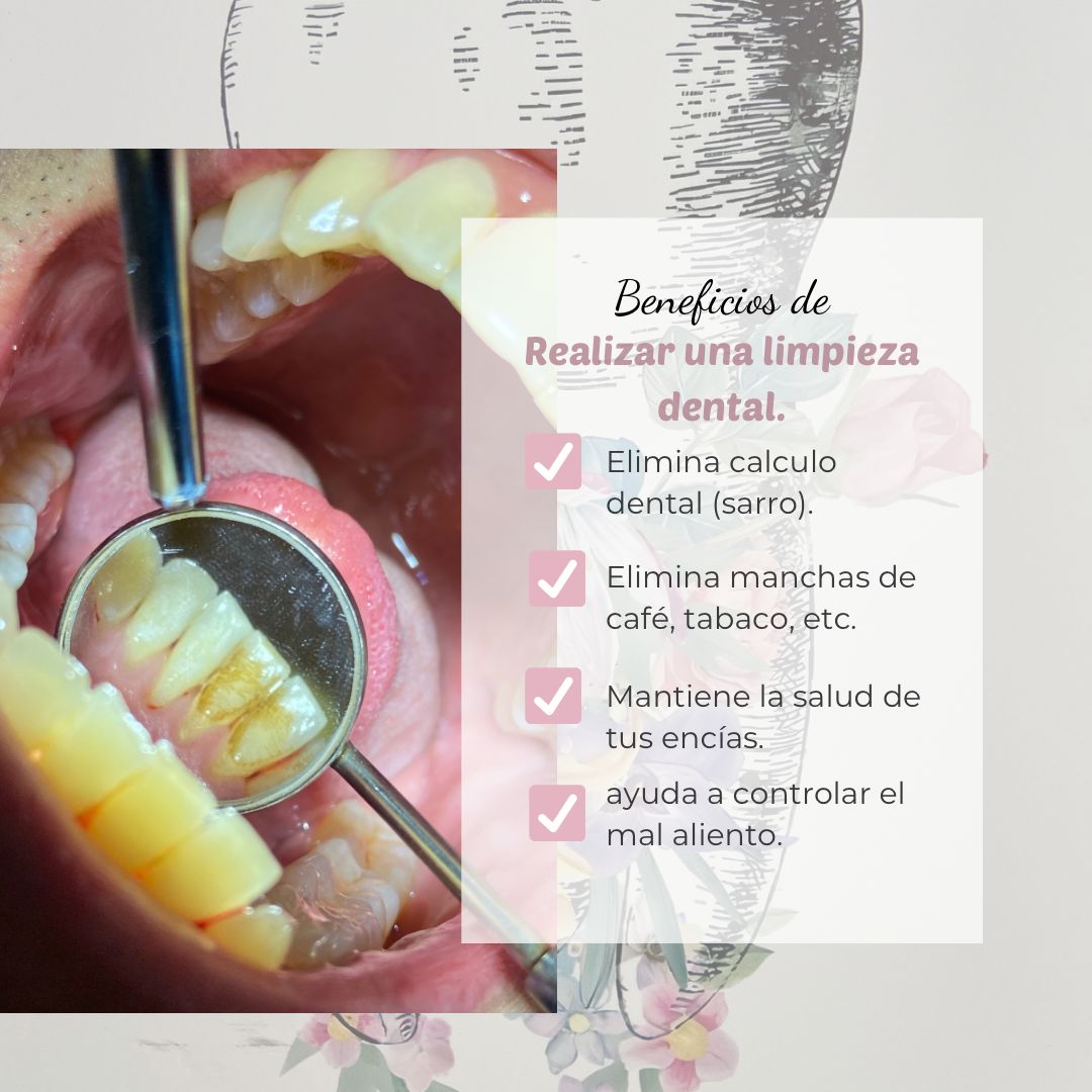 Pamela Andrea Stock Faúndes-3