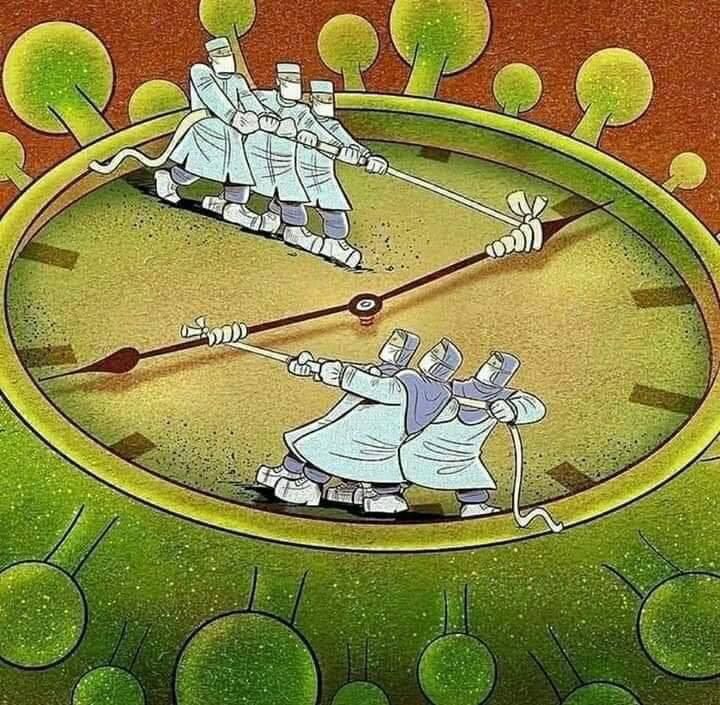 José Milton Cardoso Jr-16