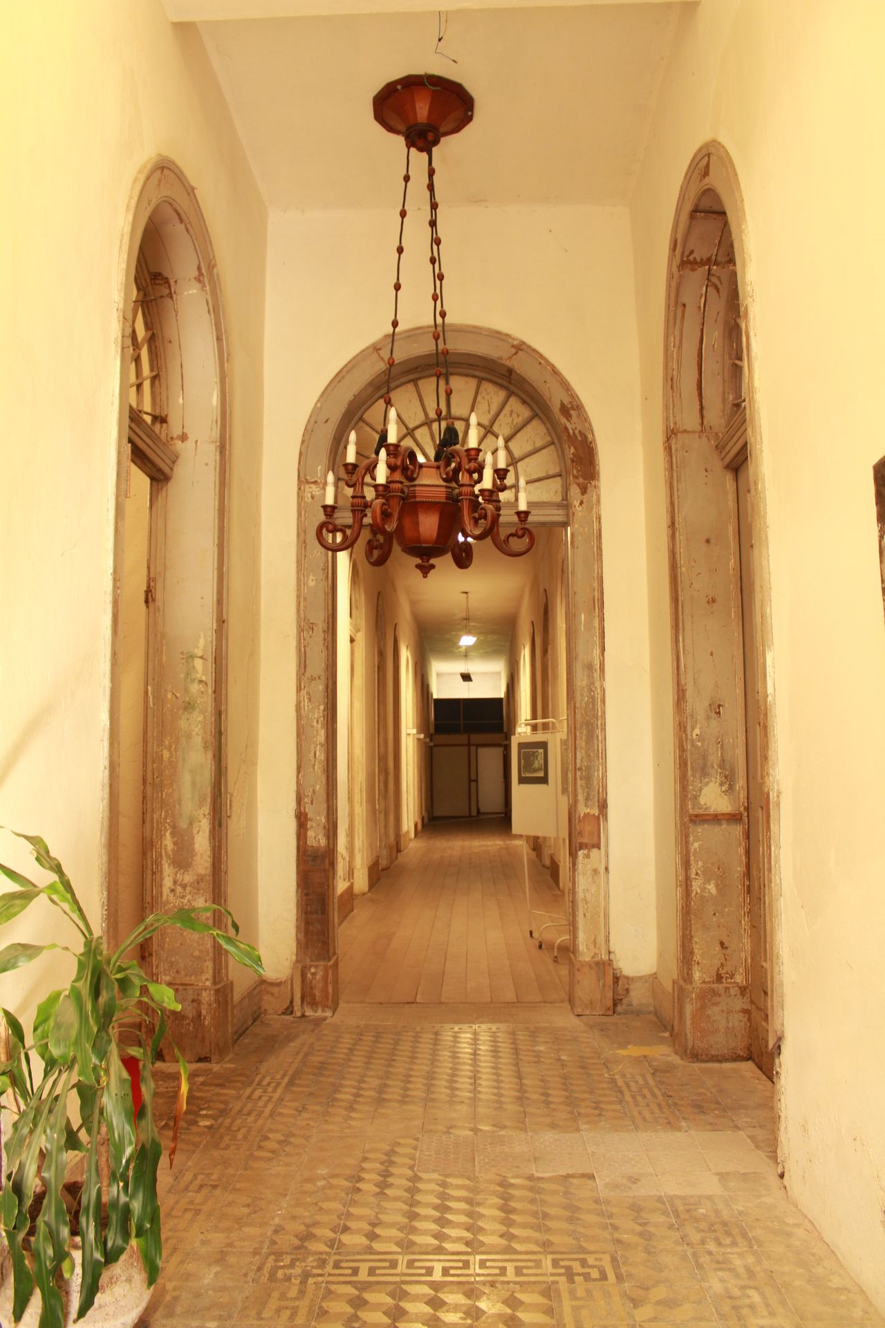 Fernanda Bortoluzzi-4